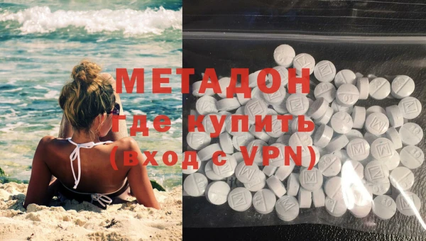 ПСИЛОЦИБИНОВЫЕ ГРИБЫ Белокуриха
