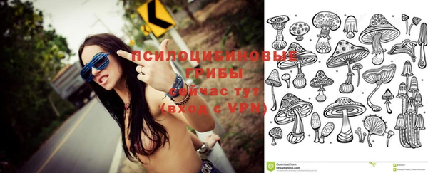 ПСИЛОЦИБИНОВЫЕ ГРИБЫ Белокуриха