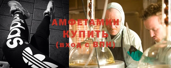 ПСИЛОЦИБИНОВЫЕ ГРИБЫ Белокуриха